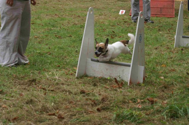 foire-haricots 2011-09-17et18